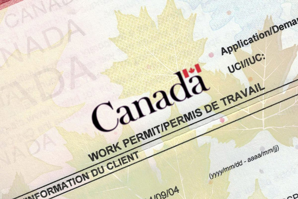Quy trình xin giấy phép lao động cho người định cư Canada