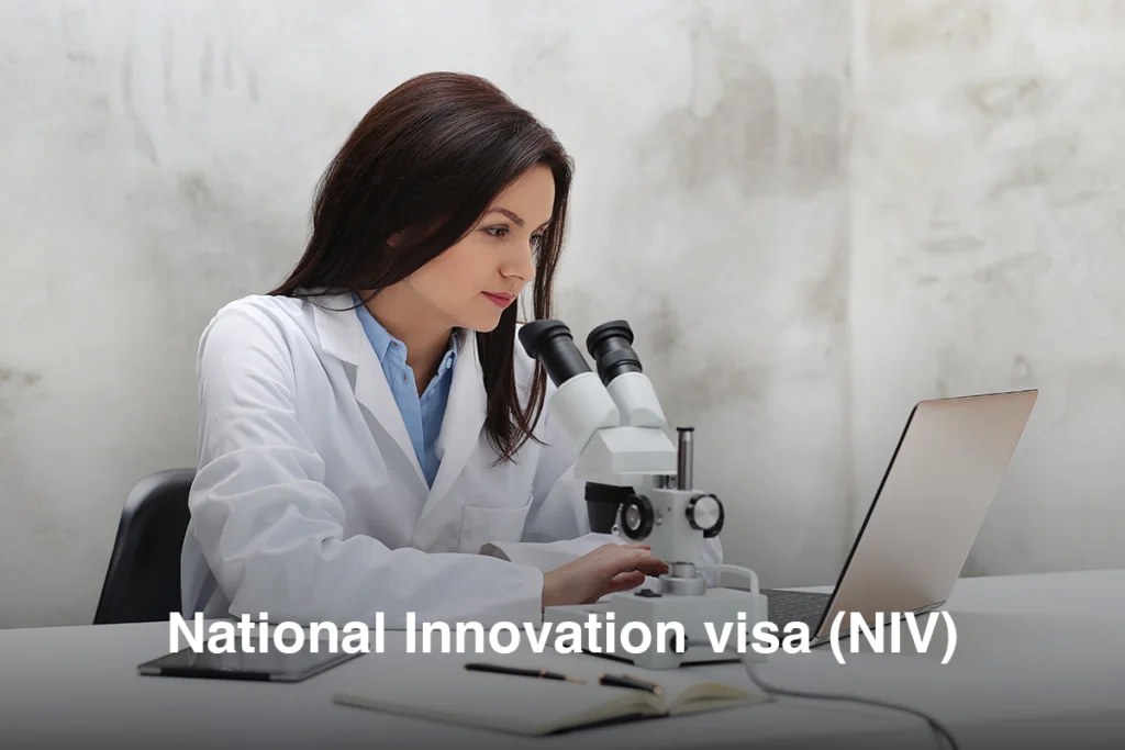 Visa NIV
