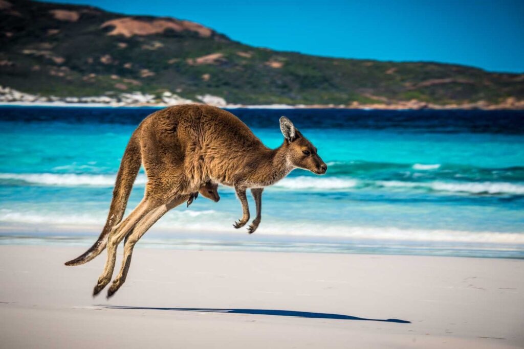Australia – phúc lợi ổn định và chất lượng sống cao